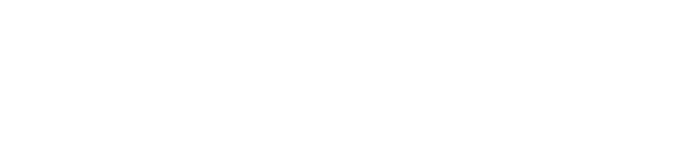 Well Optimized Business site